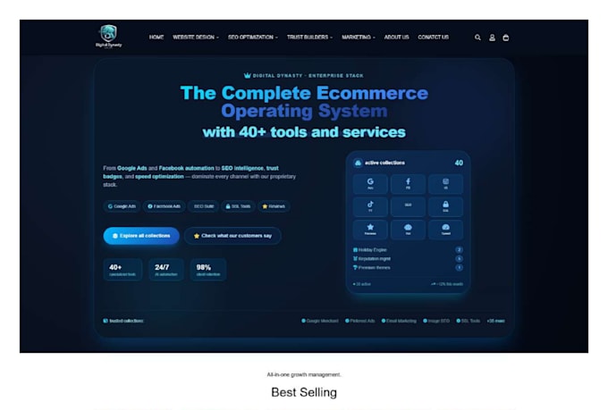 build modern shopify store, dropshipping store, design, redesign shopify store